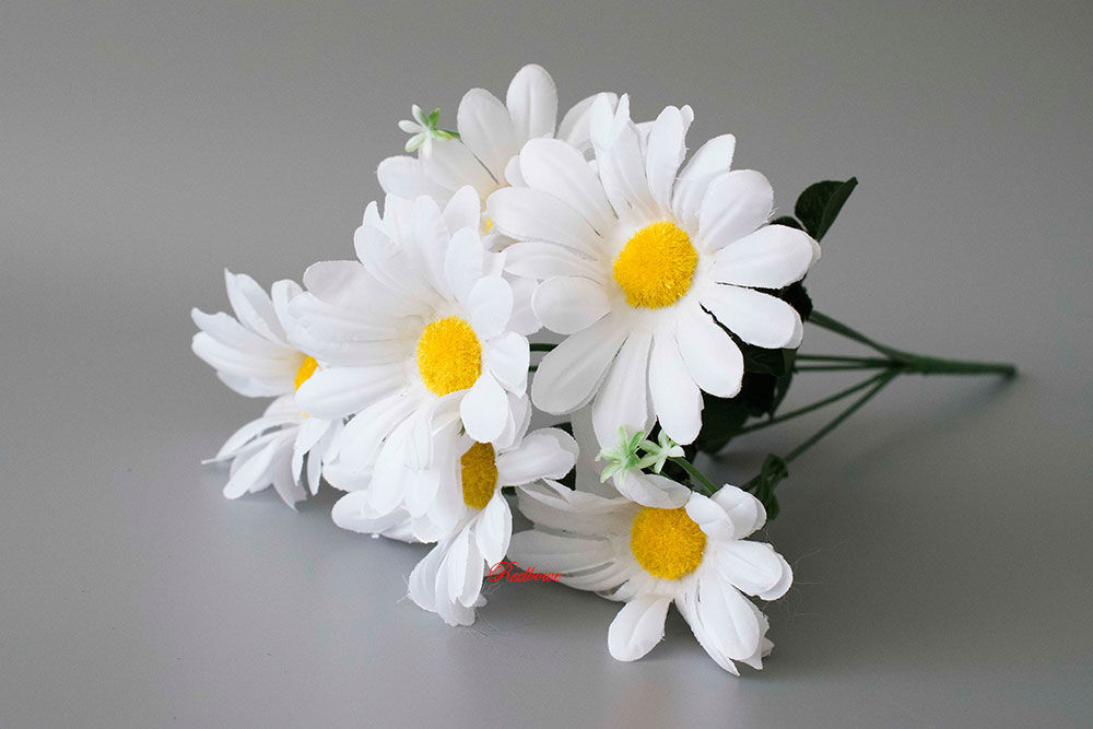 Ромашка в подарок