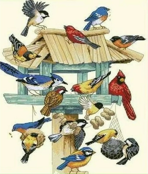 Щигровский центр принимает участие в акции «Покорми птиц зимой»